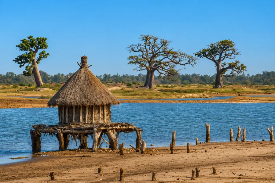 Voyage au Sénégal — baobabs et hutte traditionnelle au bord du lac