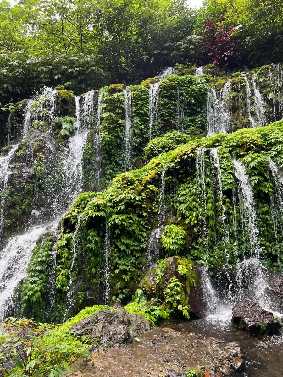 Voyage en Indonésie — cascade luxuriante de Munduk au cœur des rizières de Bali