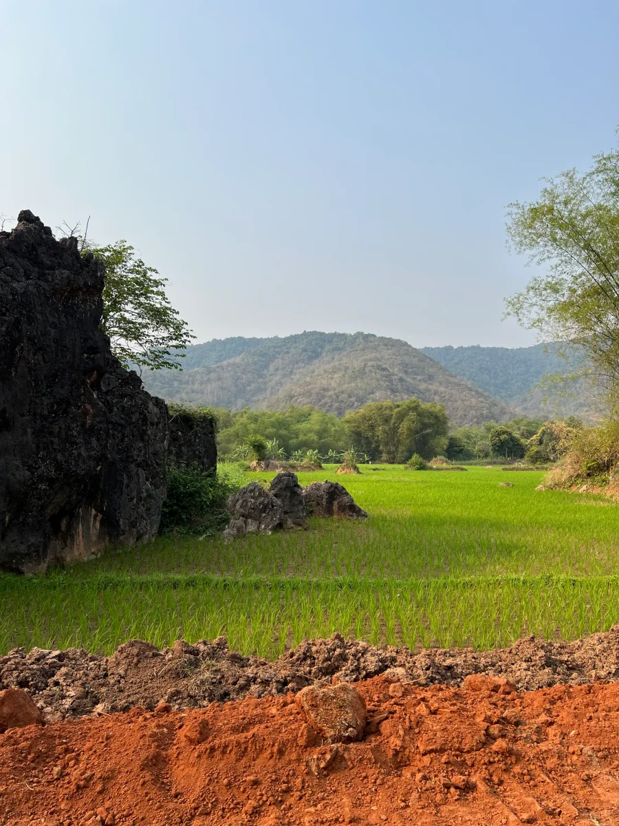 Voyage au Vietnam — rizières et paysage karstique au cœur du nord vietnamien