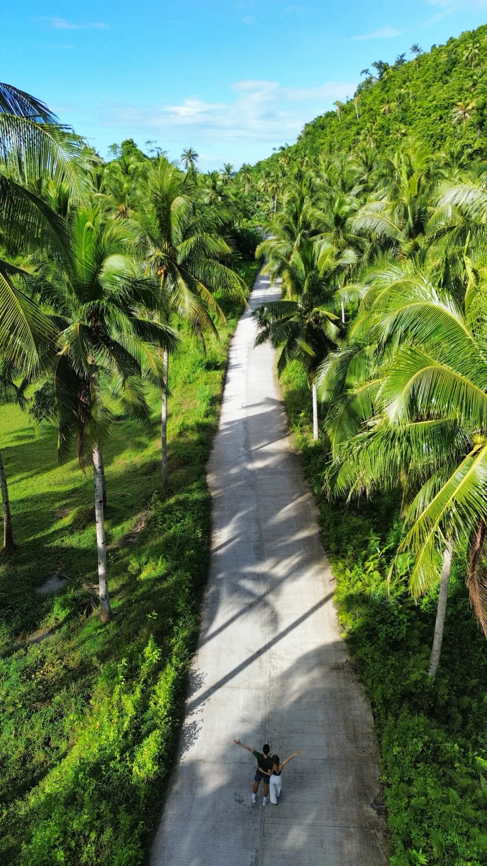 Route bordée de palmiers à Siargao, Philippines — la transformation par le voyage